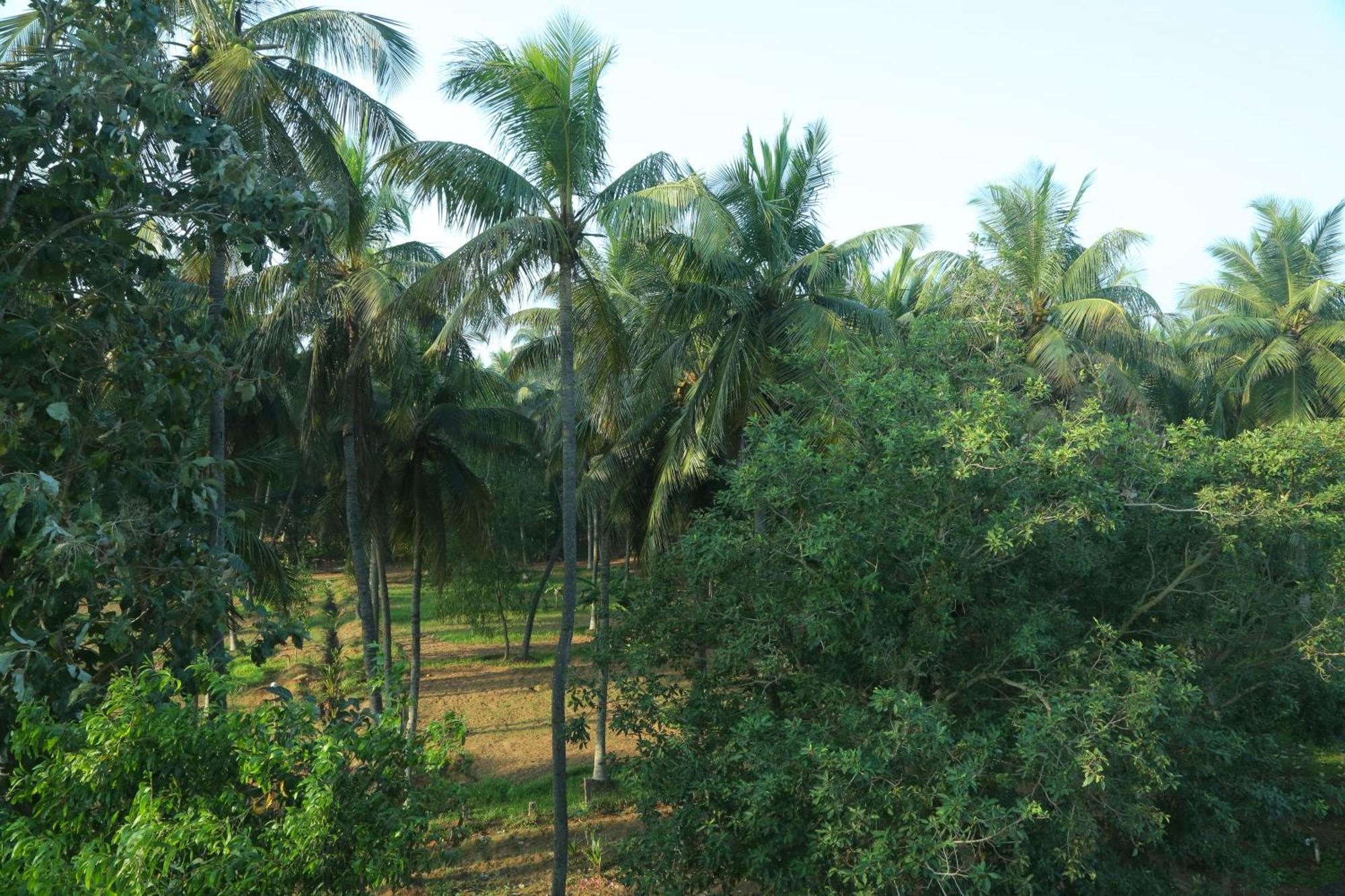 Misty Ocean - A Bergamont Group Of Hotel Kuilapalayam Екстер'єр фото